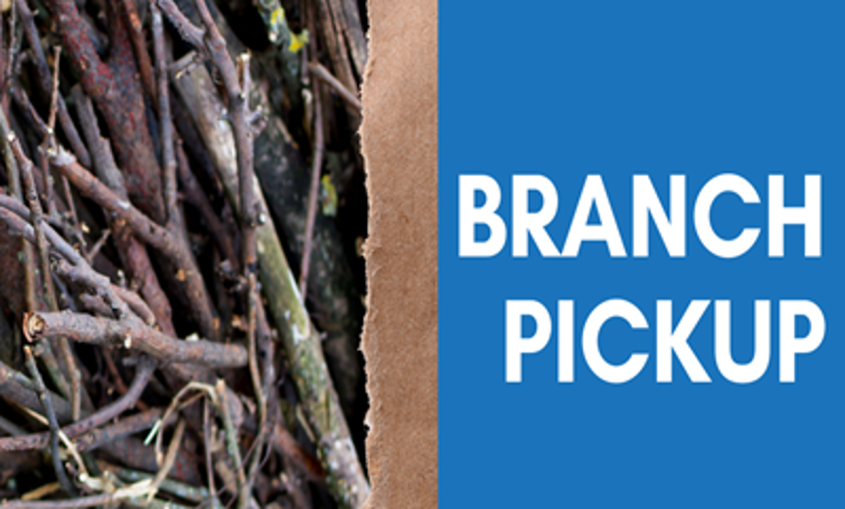 Featured image of Branch Pickup Resumes April 20