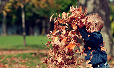 Fall Yard Waste Reminders