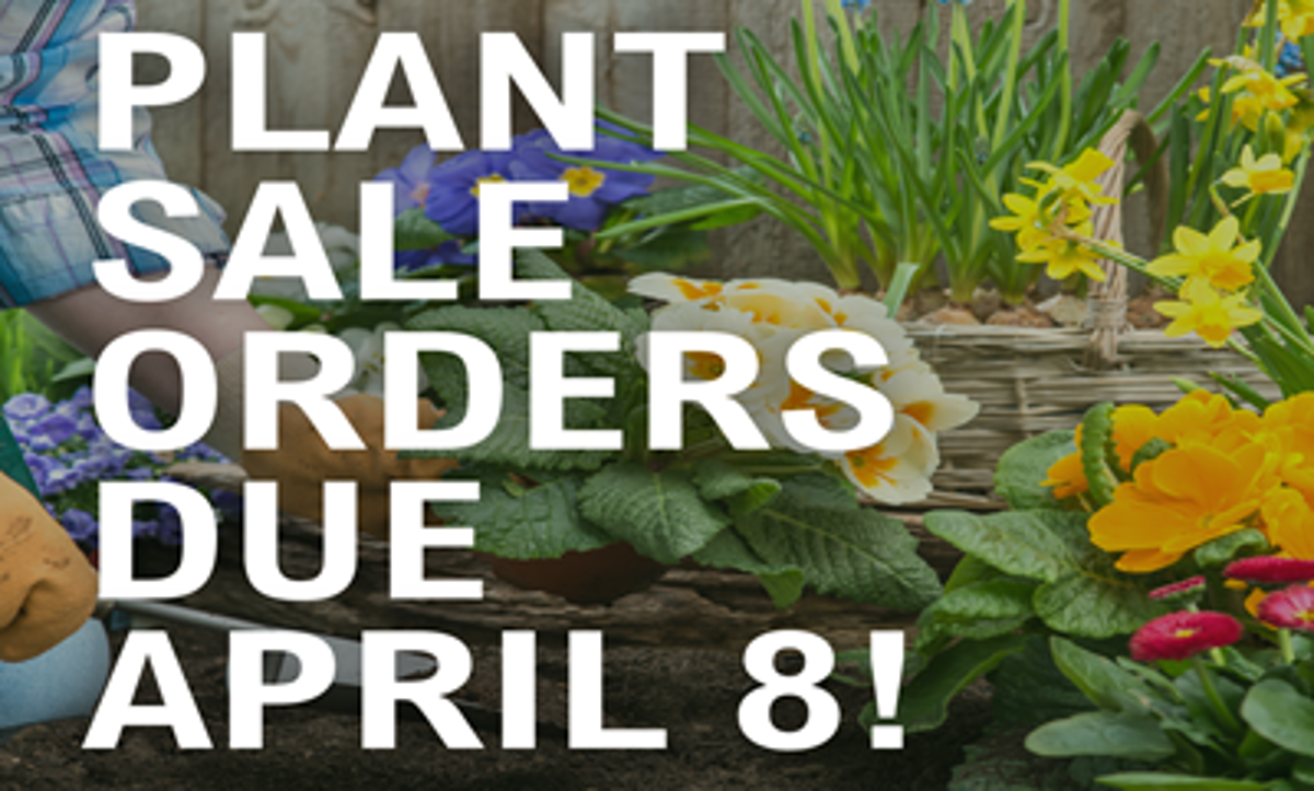 Featured image of Order Your Plants Today!