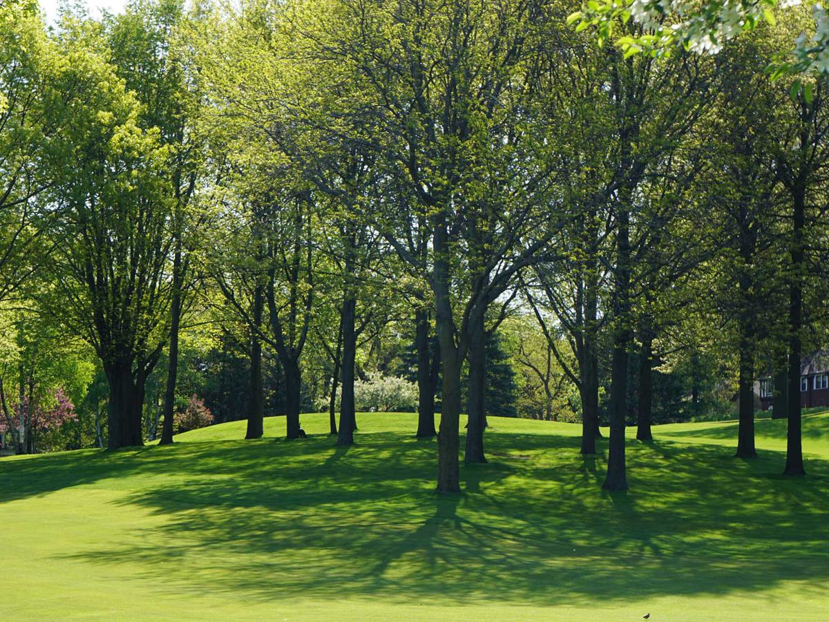 Featured image of Environmental Issues
