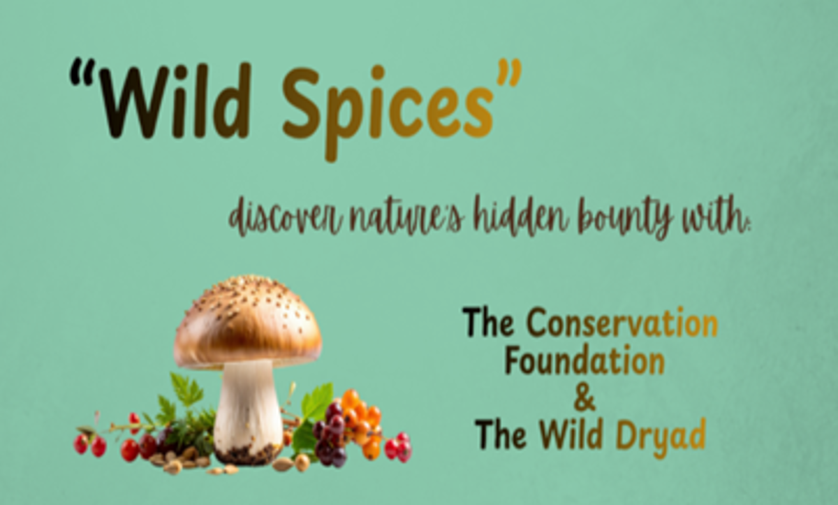 Featured image of Wild Spices with The Conservation Foundation & The Wild Dryad