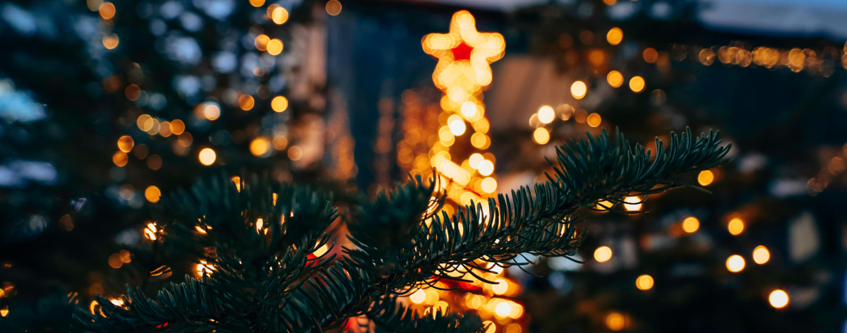 Featured image of Holiday Lights